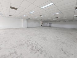 Techpoint (D20), Factory #434876251